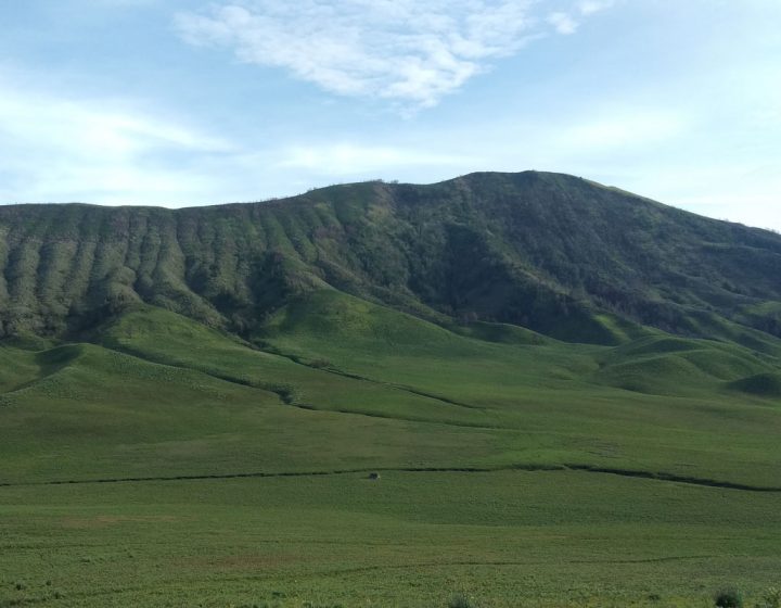 Jawa Timur